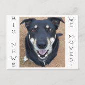 Hund ist glücklich geworden! postkarte (Vorderseite)