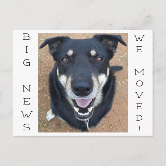 Hund ist glücklich geworden! postkarte (Vorderseite)