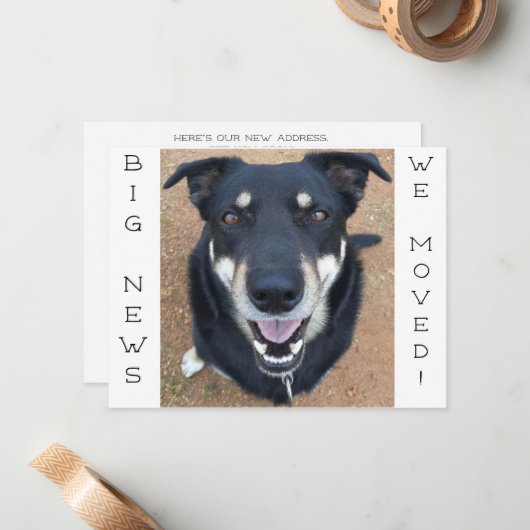 Hund ist glücklich geworden! Postkarte (Vorderseite/Rückseite Beispiel)