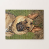 Hund Jigsaw Puzzle (Horizontal)