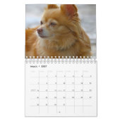 Hund Kalender (Mär 2027)