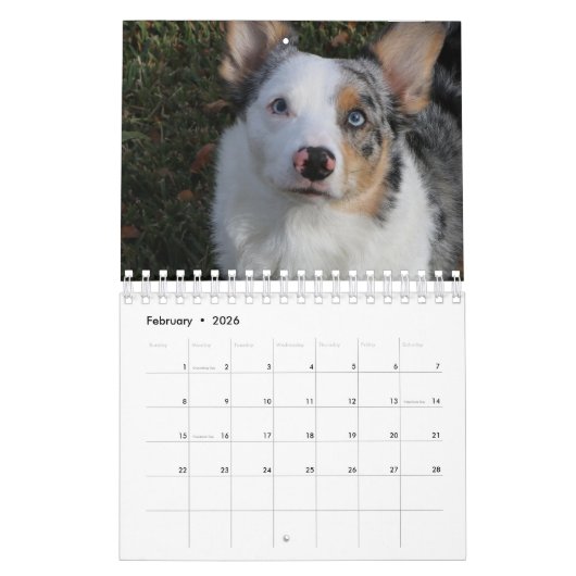 Hund Kalender (Feb 2026)