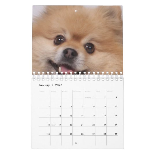 Hund Kalender (Jan 2026)