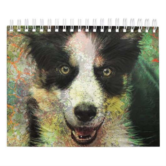 Hund Kalender (Titelbild)
