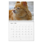 Hund Kalender (Mär 2026)