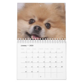 Hund Kalender