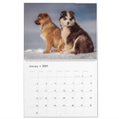 Hund Kalender (Jan 2027)