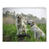 Hund Kalender (Titelbild)