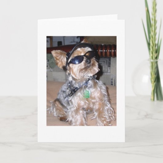 Hund Karte (Vorderseite)