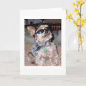 Hund Karte (Gelbe Blume)