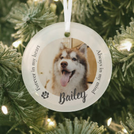 Hund Katze Individuelles Foto Erinnerungsstück Ornament Aus Glas