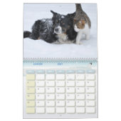 Hund-Katze-Kalender Kalender (Jan 2027)