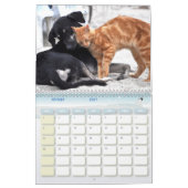 Hund-Katze-Kalender Kalender (Feb 2027)