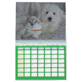 Hund-Katze-Kalender Kalender (Mär 2027)