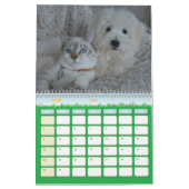 Hund-Katze-Kalender Kalender (Mär 2026)