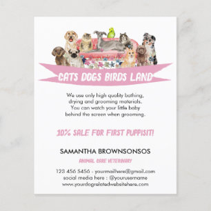 Hund Katze Vogel Hotel Sofa Tierbetreuung Dienste Flyer