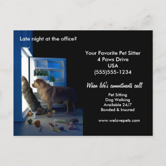 Hund & Katze Zuhause Allein Mitternacht Pet Sitter Postkarte