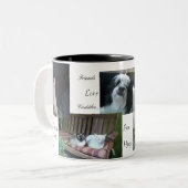 Hund, Katzen, Vögel, beste Freunde Zweifarbige Tasse (Vorderseite Links)