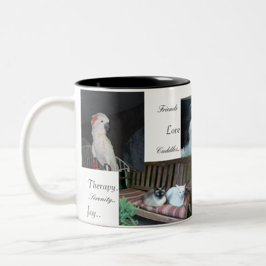 Hund, Katzen, Vögel, beste Freunde Zweifarbige Tasse (Links)