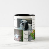Hund, Katzen, Vögel, beste Freunde Zweifarbige Tasse (Mittel)