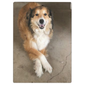 Hund Klemmbrett (Rückseite)