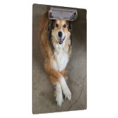 Hund Klemmbrett (Rechts)