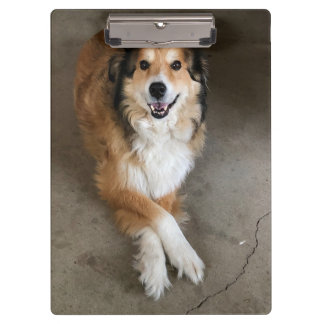 Hund Klemmbrett