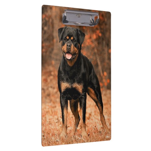 Hund Klemmbrett (Rechts)