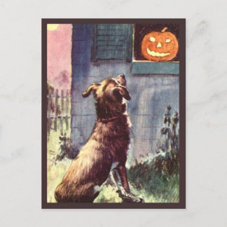 Hund & Kürbis - Vintage Halloween Postkarte