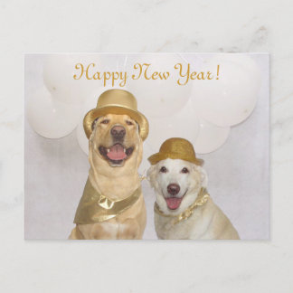 Hund/Labrador-Hund/Hund-Hund-Hund-Happy-Neujahr Feiertagspostkarte