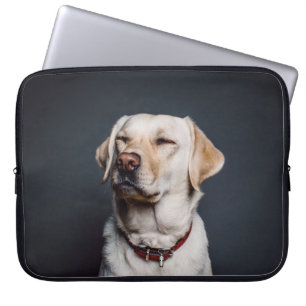 Hund Laptopschutzhülle