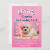 Hund Lass uns Party Geburtstag  Feiertagskarte (Vorderseite)