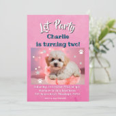 Hund Lass uns Party Geburtstag  Feiertagskarte (Stehend Vorderseite)