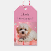 Hund Lass uns Party Geburtstag Geschenkanhänger (Vorderseite)