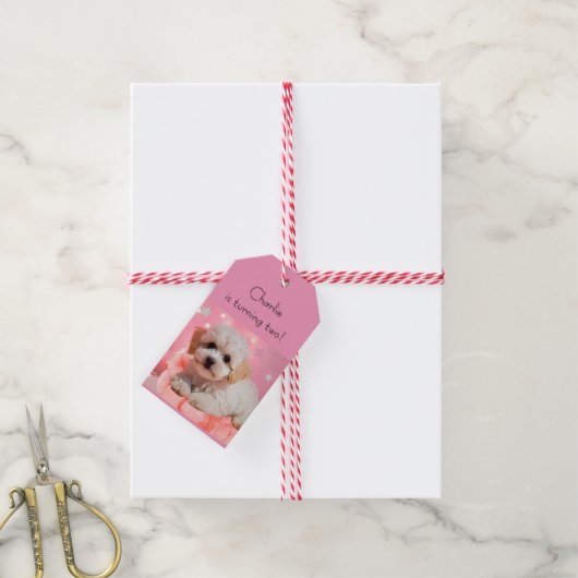 Hund Lass uns Party Geburtstag Geschenkanhänger (Mit Garn)