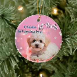 Hund Lass uns Party Geburtstag  Keramik Ornament