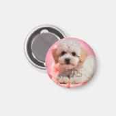 Hund Lass uns Party Geburtstag Magnet (Vorderseite/Rückseite)