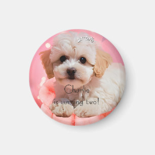 Hund Lass uns Party Geburtstag Magnet