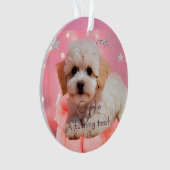 Hund Lass uns Party Geburtstag  Ornament (Vorderseite)