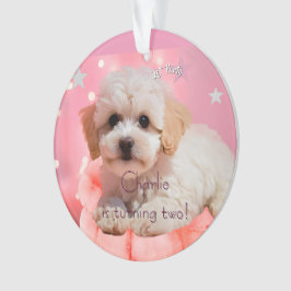 Hund Lass uns Party Geburtstag Ornament
