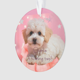 Hund Lass uns Party Geburtstag Ornament