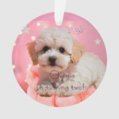 Hund Lass uns Party Geburtstag  Ornament (Vorderseite)