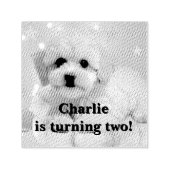 Hund Lass uns Party Geburtstag  Permastempel (Design)