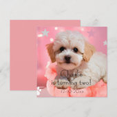 Hund Lass uns Party Geburtstag Save The Date (Vorne/Hinten)