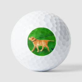 Hund laufen golfball