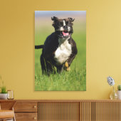 Hund läuft 2 leinwanddruck (Insitu (Wohnzimmer))