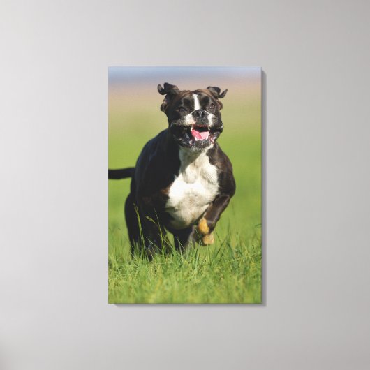 Hund läuft 2 leinwanddruck (Vorderseite)