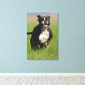 Hund läuft 2 leinwanddruck (Insitu (Holzboden))