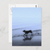 Hund läuft am Strand Postkarte (Vorne/Hinten)