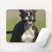 Hund läuft mousepad (Mit Mouse)